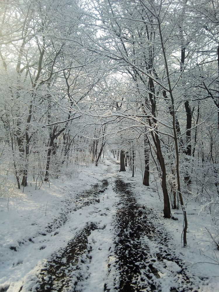 Фотография автора Богатов Андрей