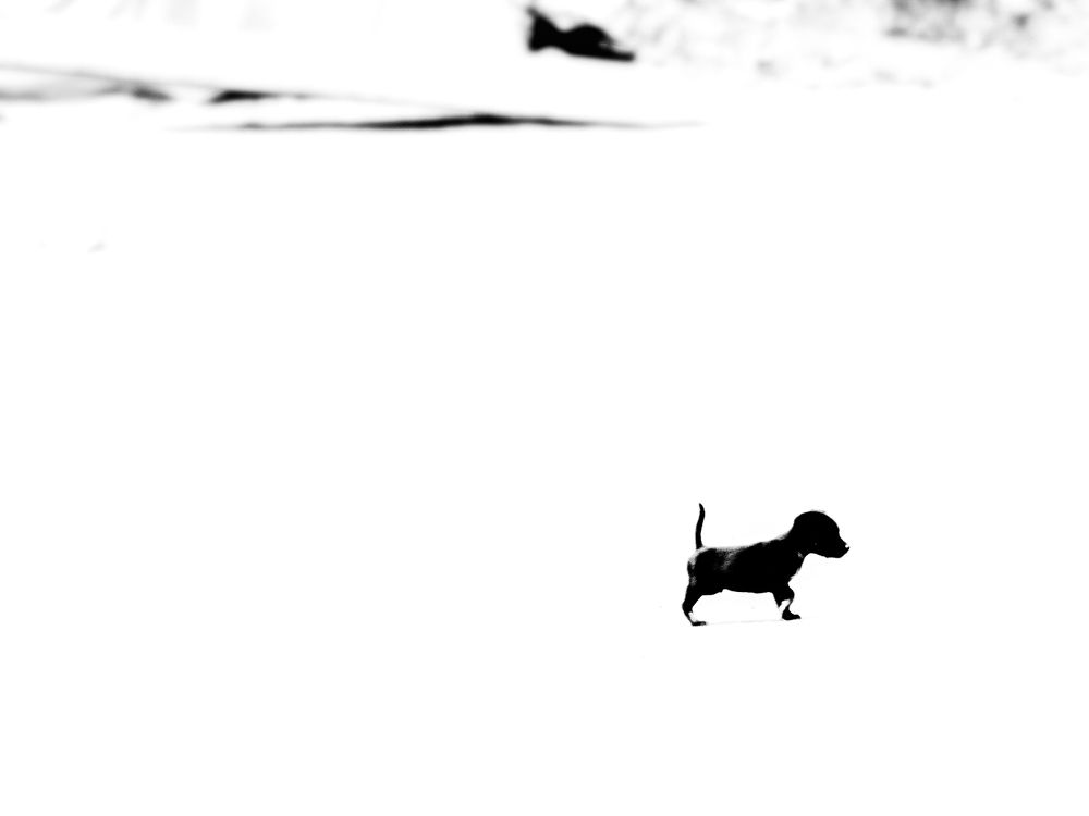 Photograph by Susmita Paul