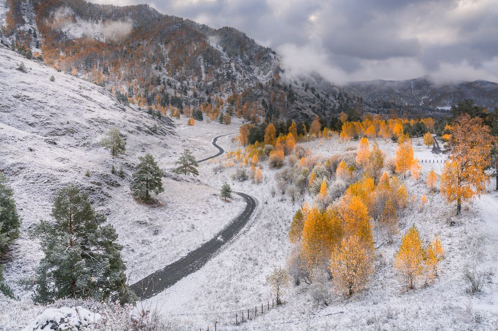 Серою лентою...