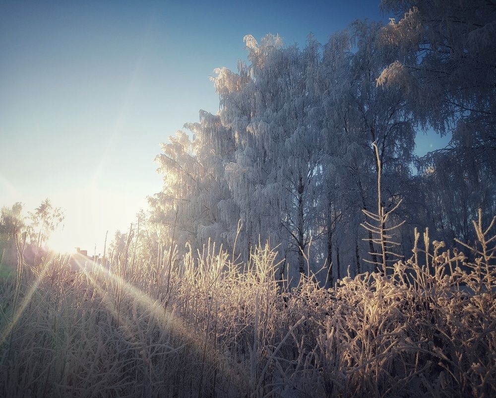 Photograph by Maiya Bulatova