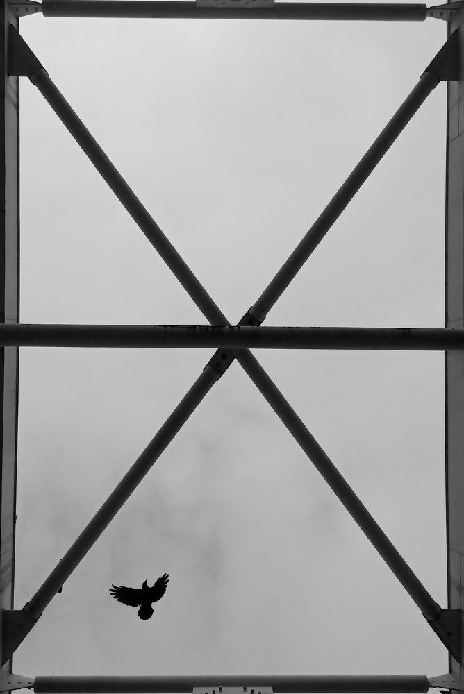 Фотография автора Avijit datta