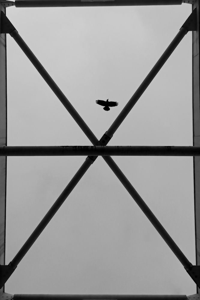 Фотография автора Avijit datta