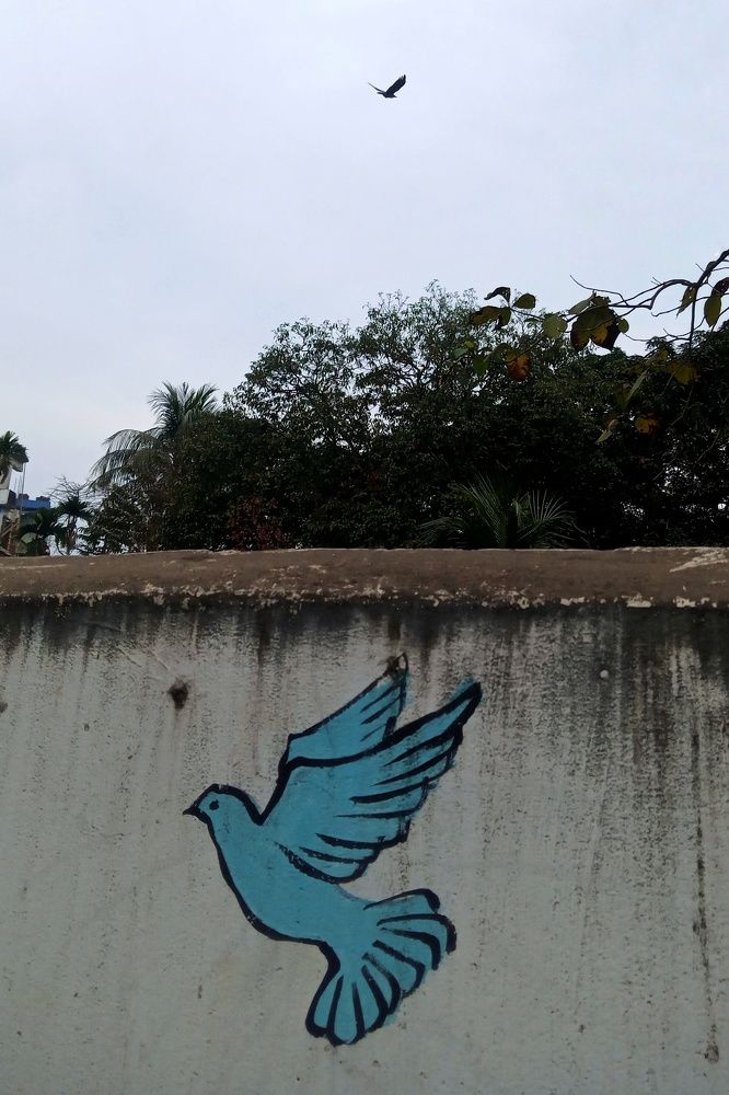 Фотография автора Avijit datta