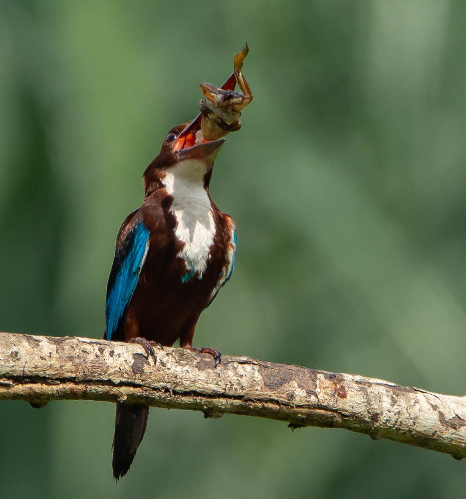 Photograph by Yuganthan Nallusamy