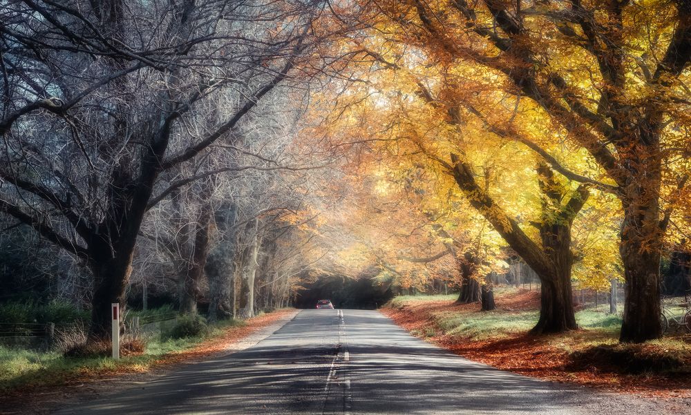 Фотография автора jason lu