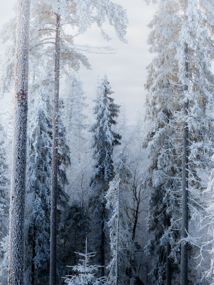 Photograph by Тая Михайлова