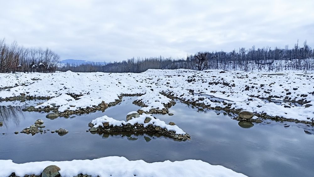 Photograph by Murtaza Rashid