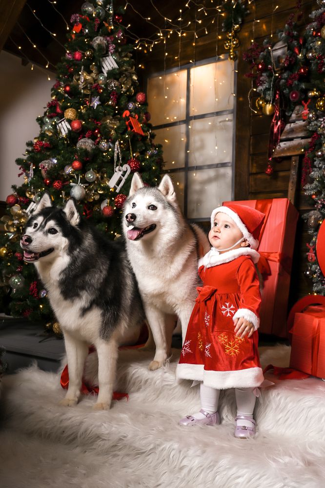 Photograph by Марина Суздаль