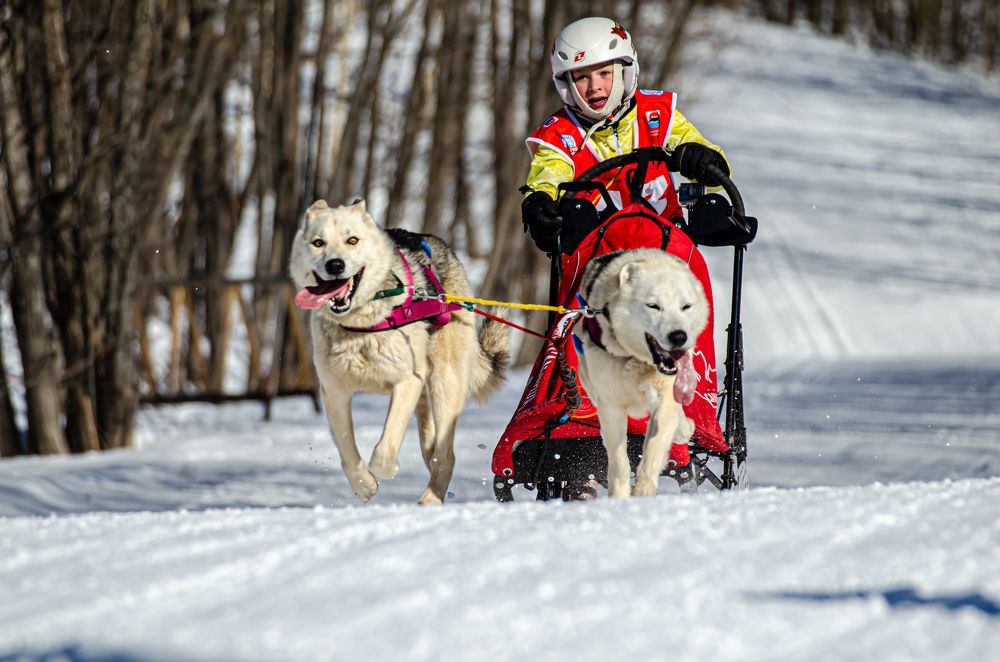 Photograph by Владислава Кущенко