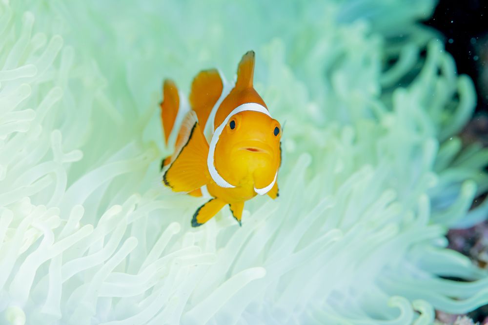 Photograph by KURASHIMA DAISUKE