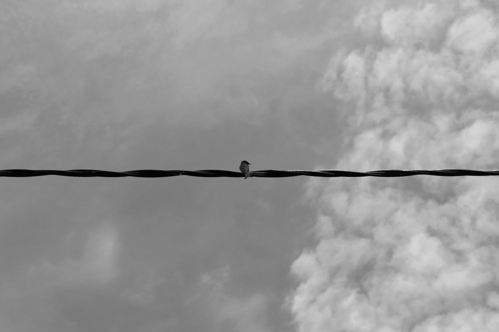 Photograph by Rashmi Nawanjana De silva