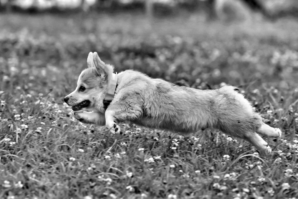 Photograph by Милана Бабченко