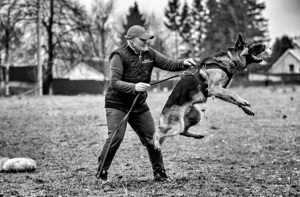 Photograph by Милана Бабченко