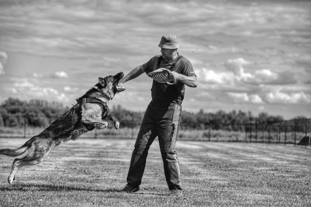 Photograph by Милана Бабченко