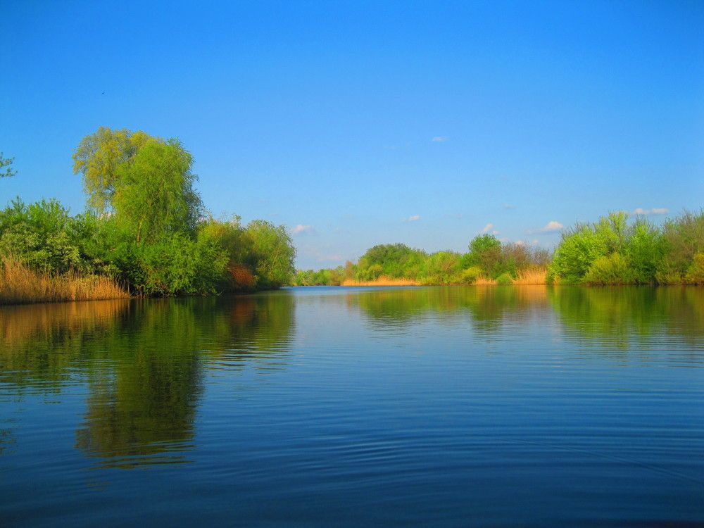 Photo #8534300