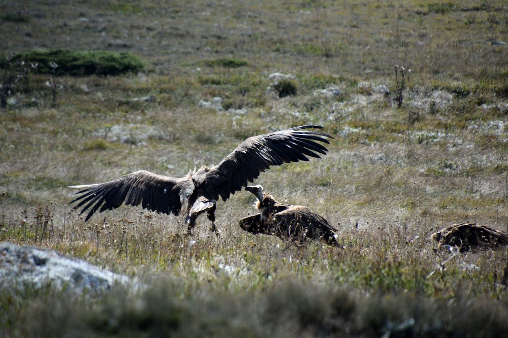Photograph by Екатерина Крючкова