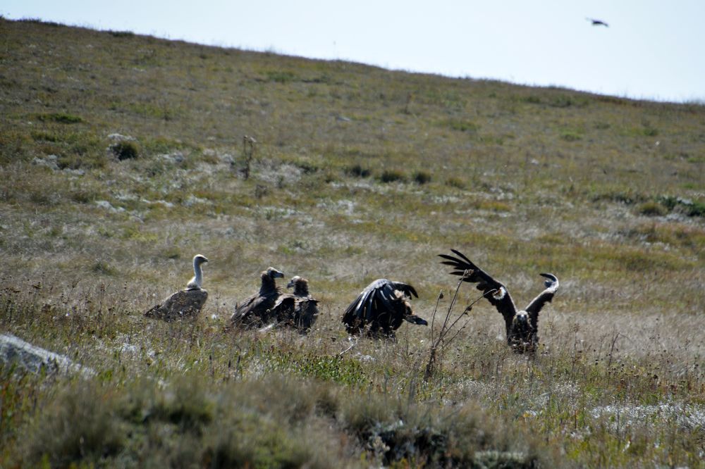 Photograph by Екатерина Крючкова