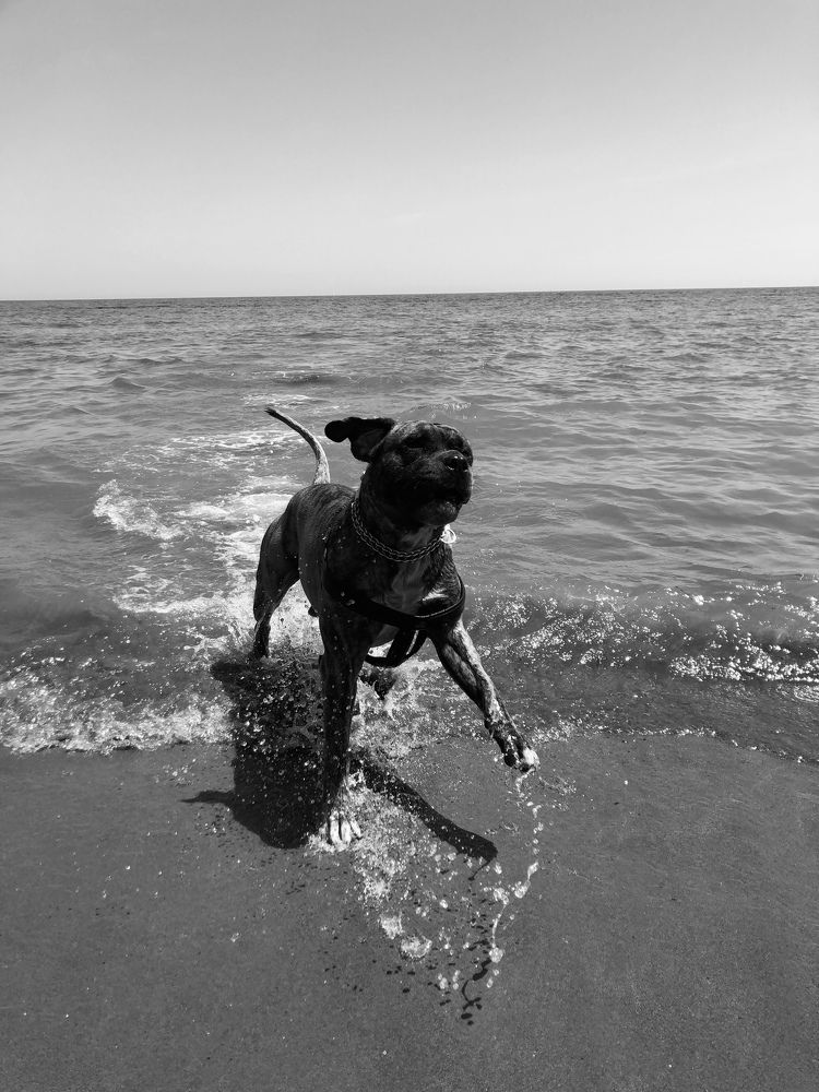 Photograph by Anna Poponina