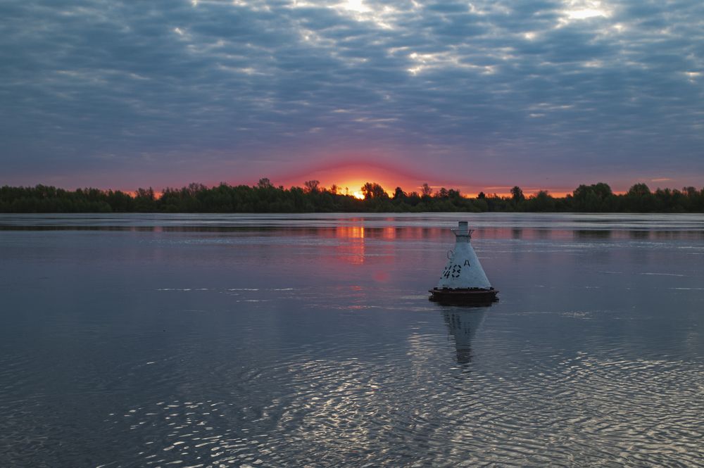 Photograph by Roman Adler