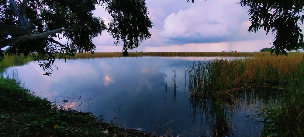Lake