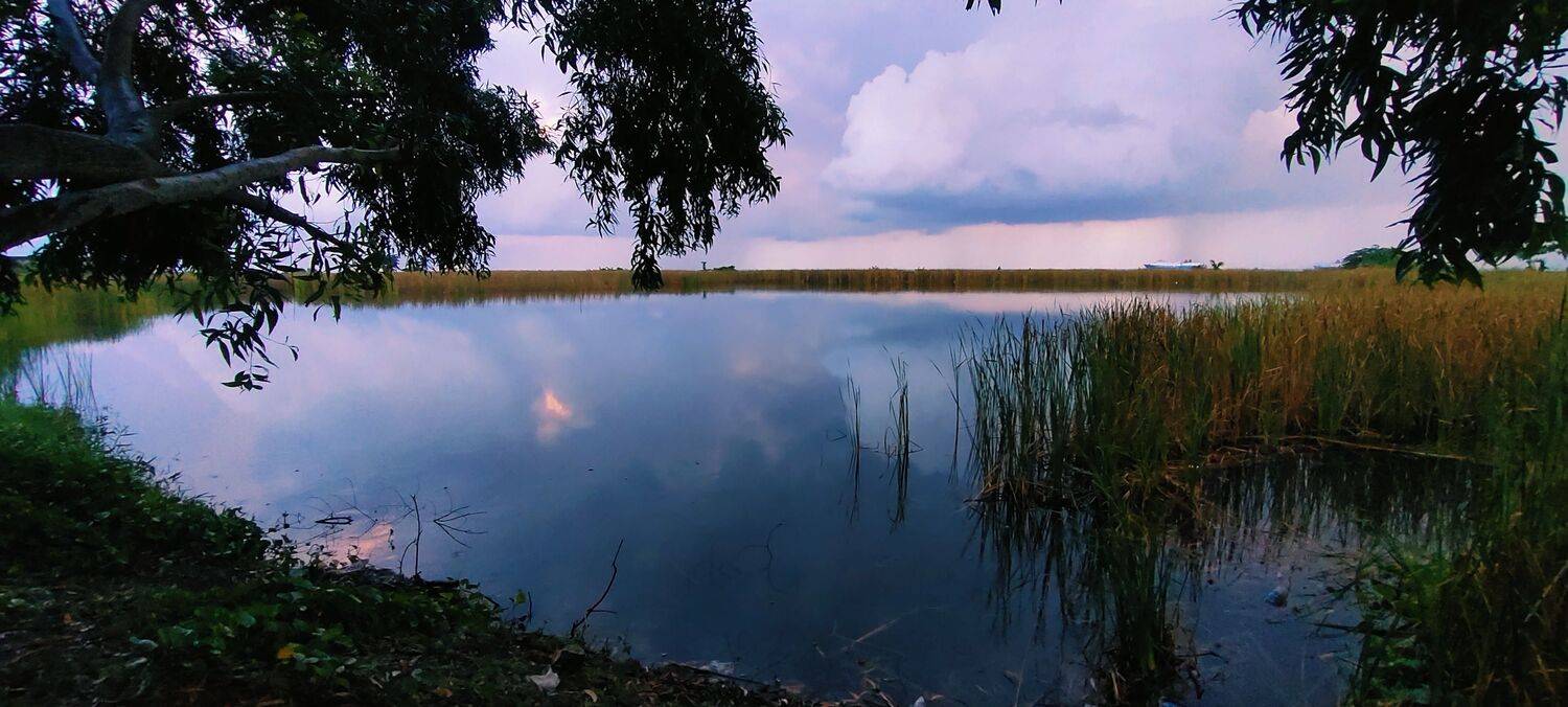Lake