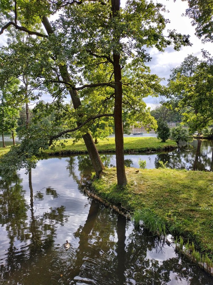 Lake in Gatchina Park