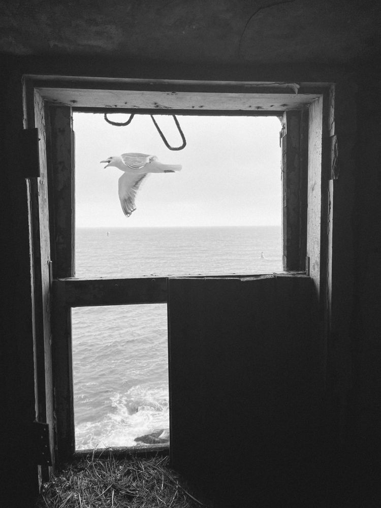 Photograph by Юлия