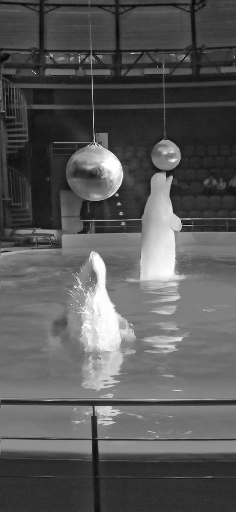 Photograph by Евгения Акишева