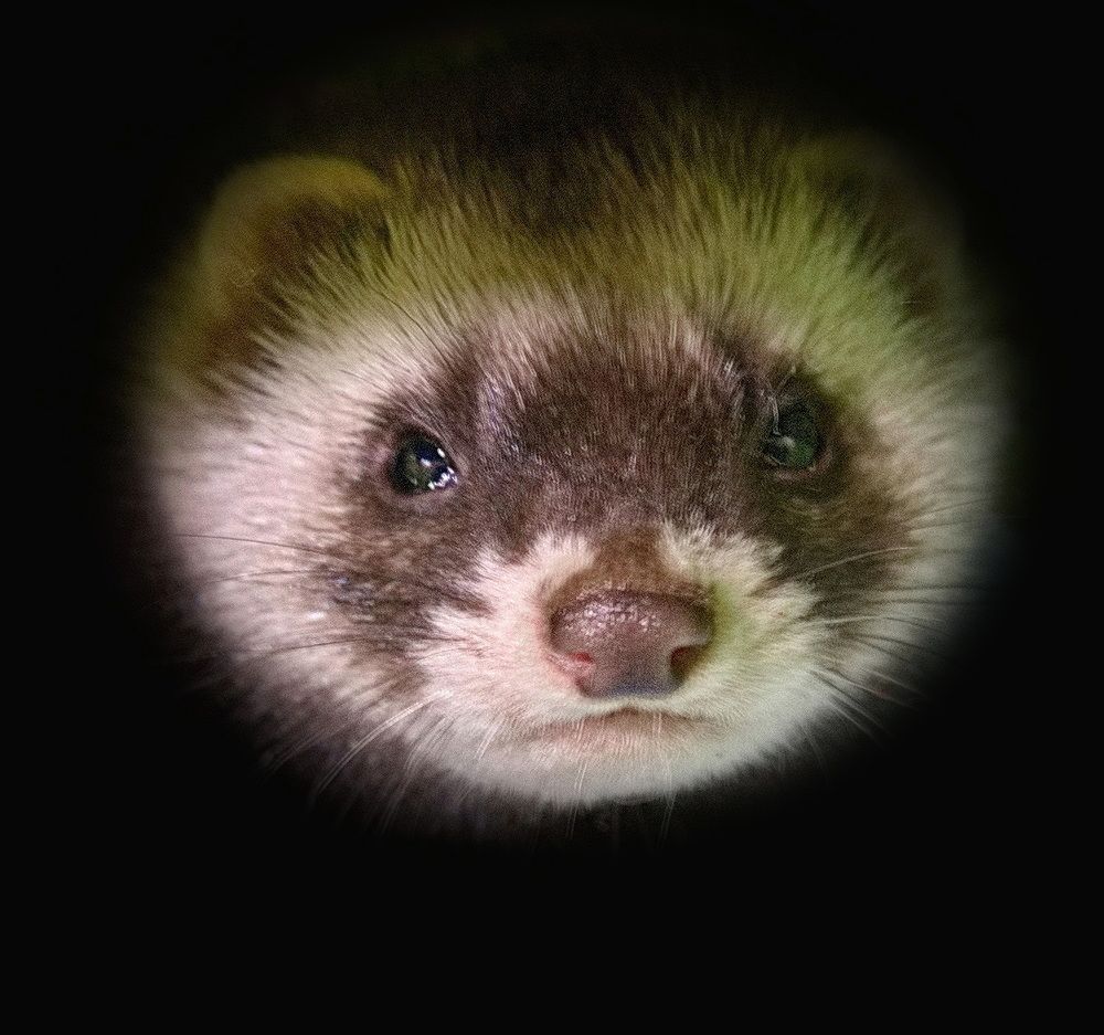 Photograph by Юрий Митенёв