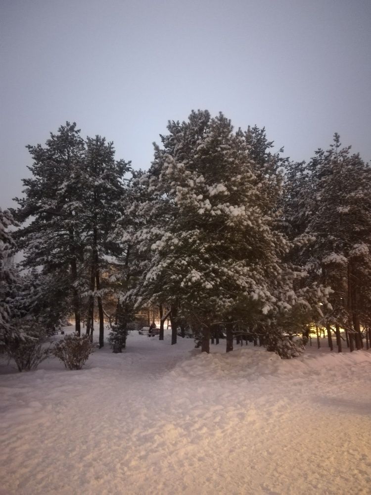 Photograph by Софья Басырова