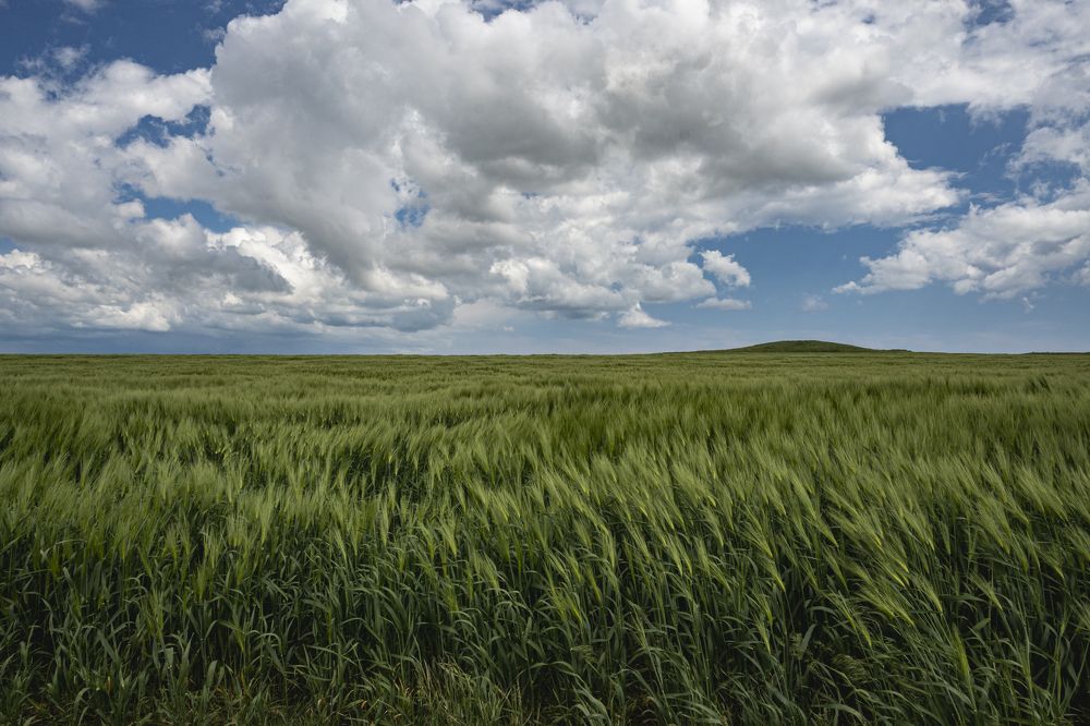 Новая заставка ОС