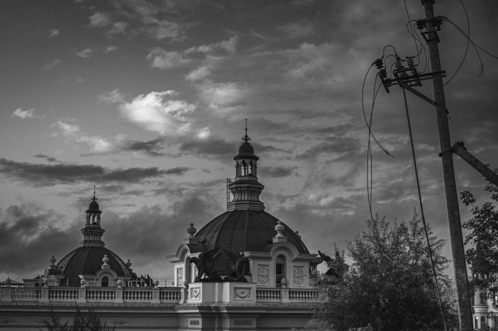 Photograph by Roman Adler