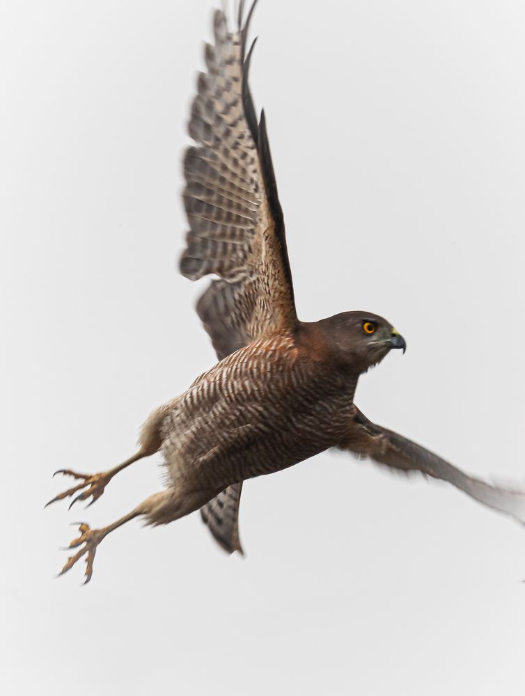 Photograph by Thakor Virendrasinh