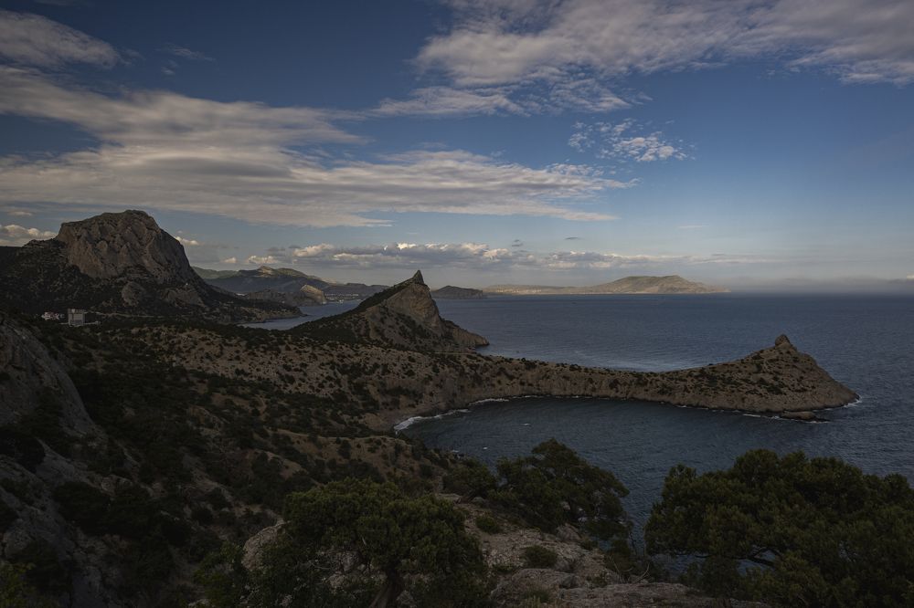 Photograph by Roman Adler