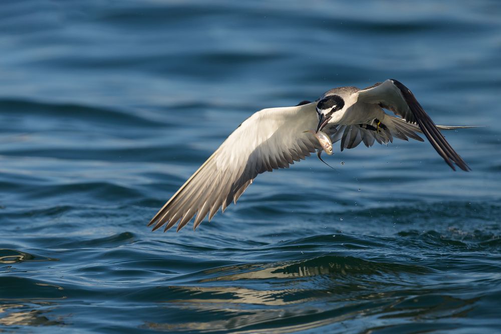 Photograph by Benny Chan