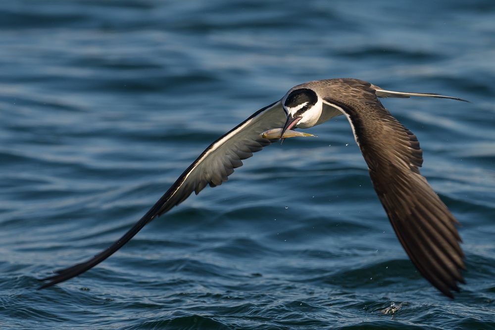 Photograph by Benny Chan