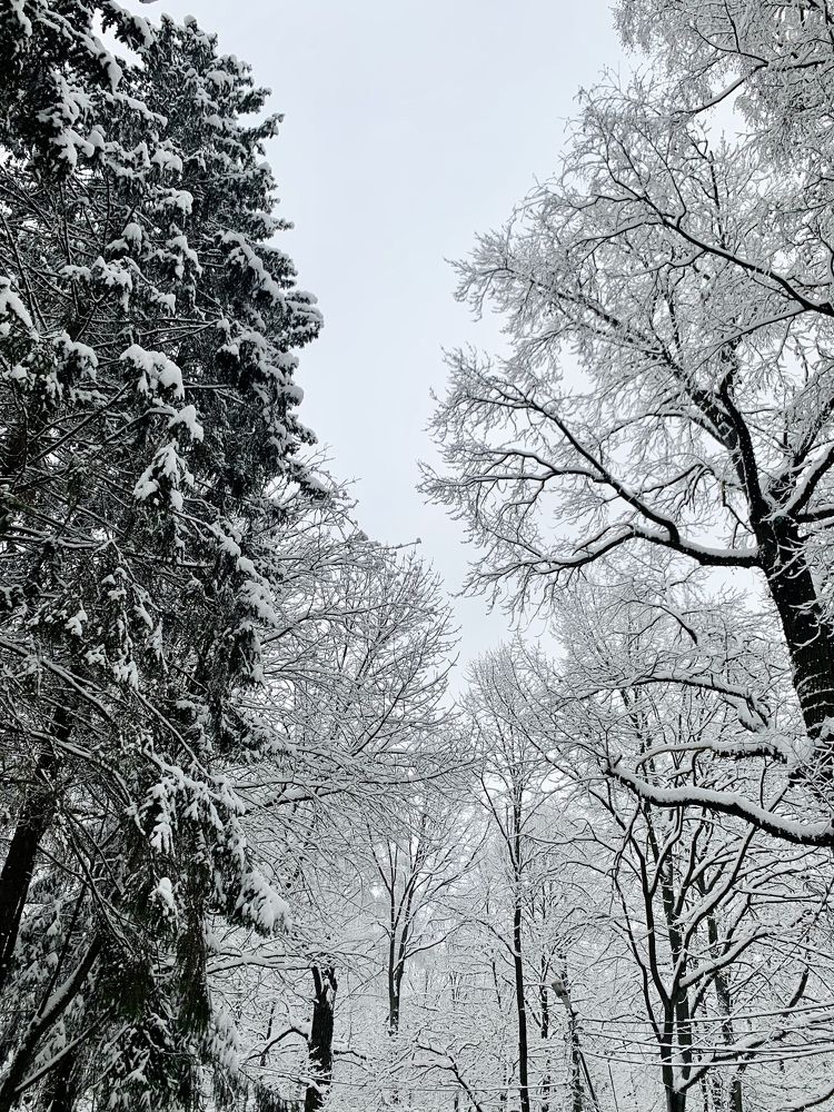 Photograph by Вадим
