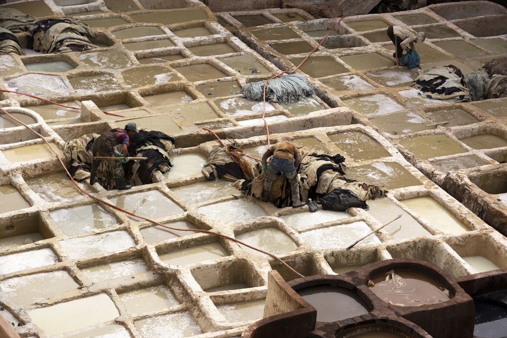 Photograph by Элеонора Фридман