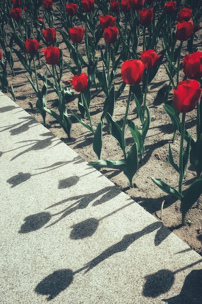 Photograph by Алена