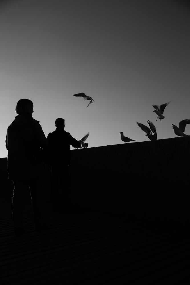 Фотография автора Виталий Новиков