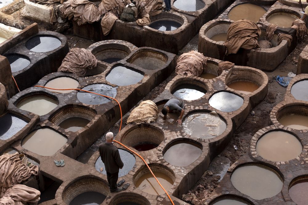 Photograph by Элеонора Фридман