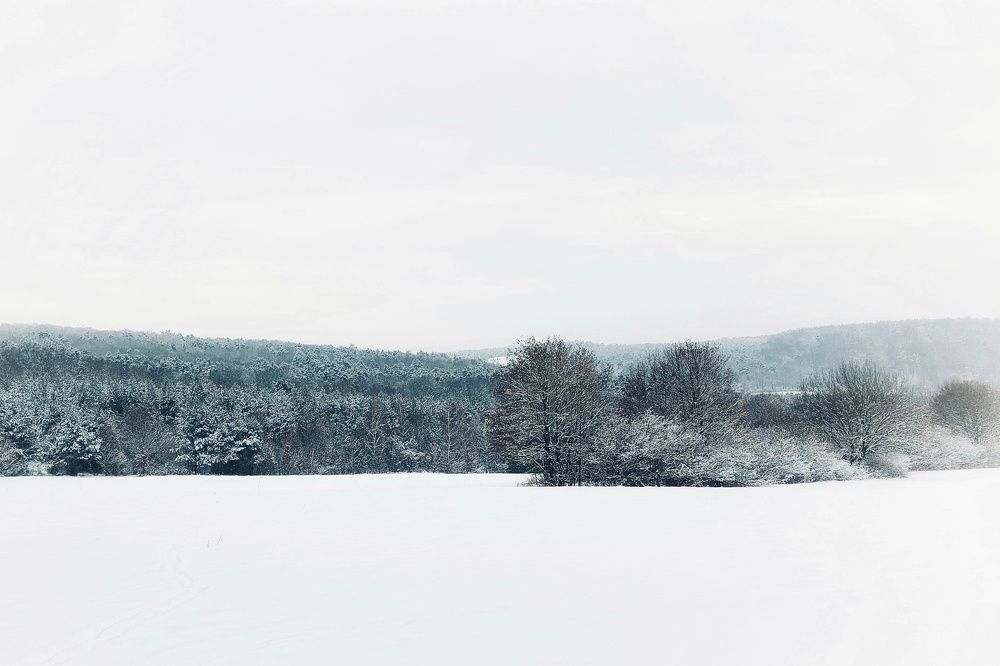 Фотография автора Jozef Mihalčin