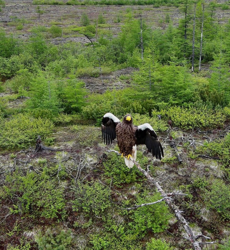 Photograph by Dmitriy Marchenko