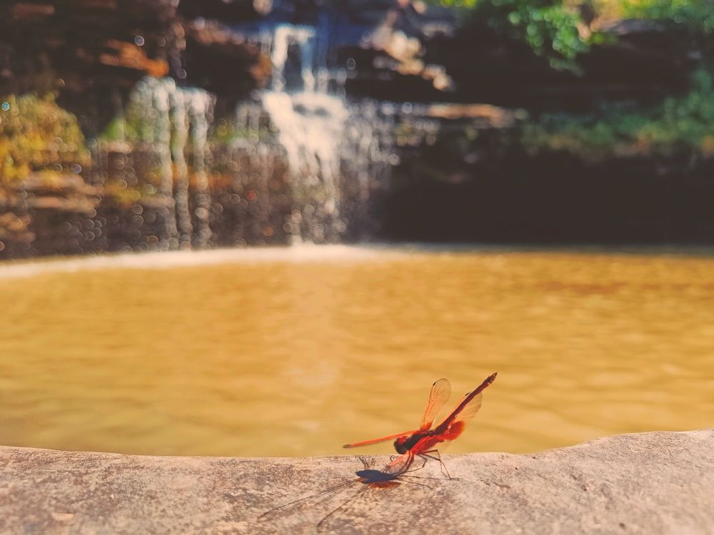 Photograph by Gobinda Dhara