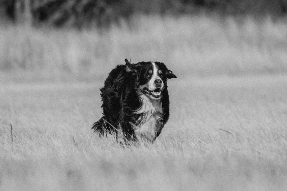 Photograph by Ангелина Ледовская