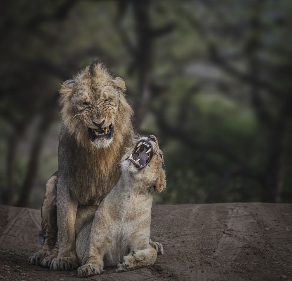 Photograph by mayur kalab