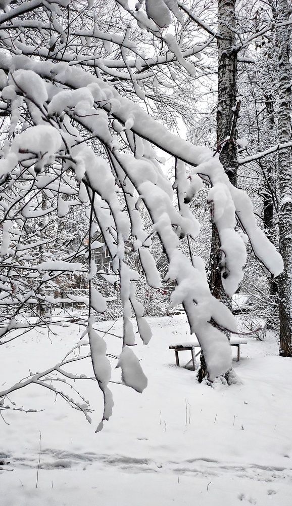 Photograph by Наталья Рау