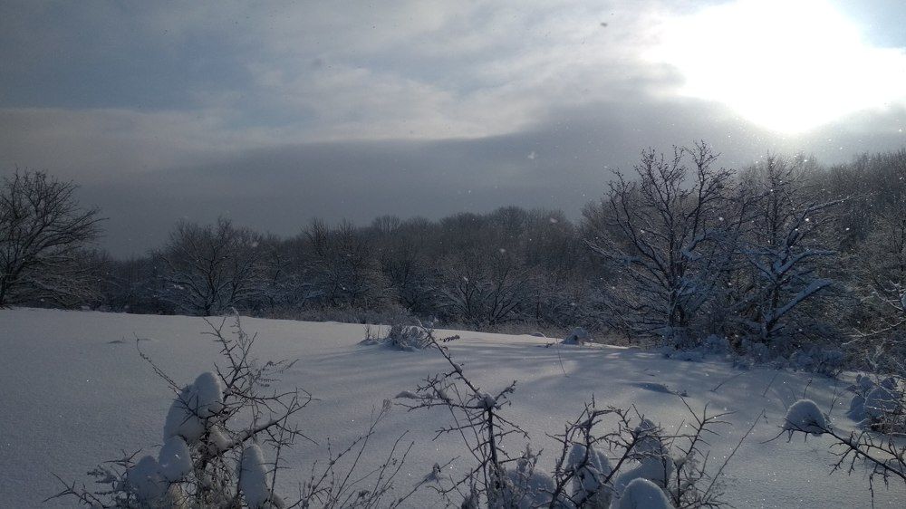 Photograph by Елена Косинова