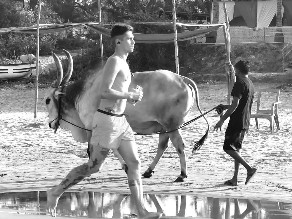 Всему свое время