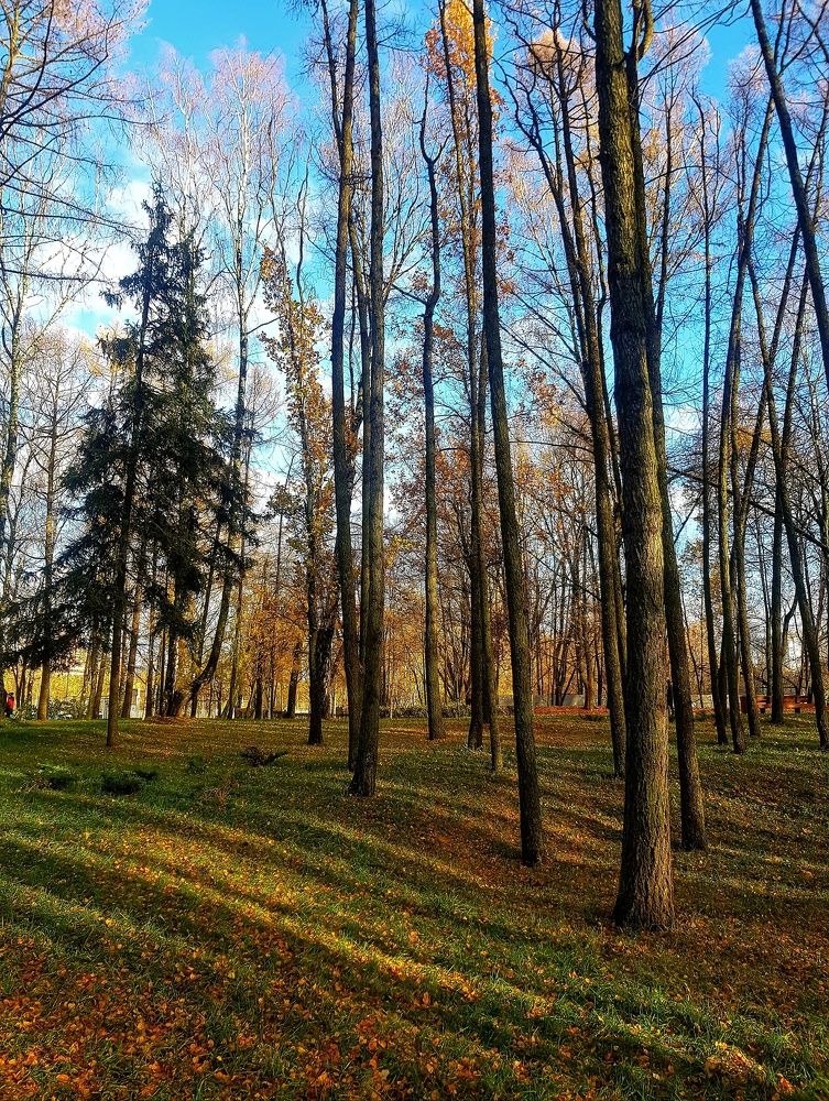 Photograph by Алла Никушкина